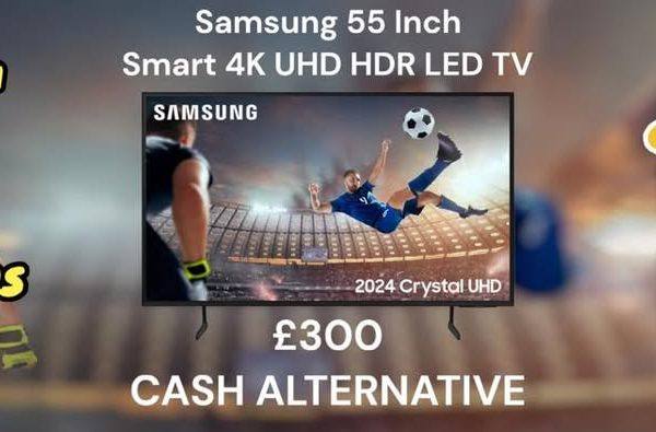 Samsung 55 Inch TV