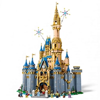 Disney Castle