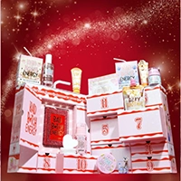 Plouise - 12 Sleighs of Christmas Advent Calendar