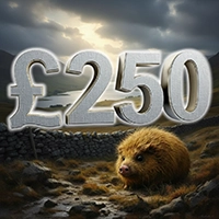 £250