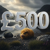 £500